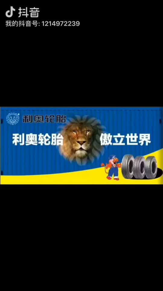 河南利奥轮胎销售有限公司